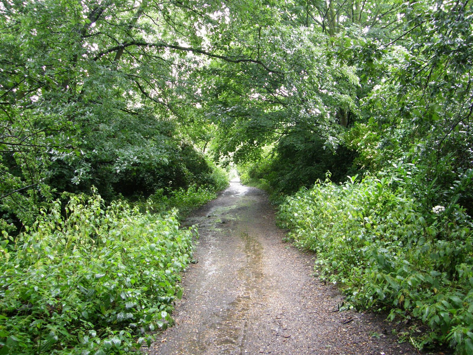 Image from Euston to East Finchley