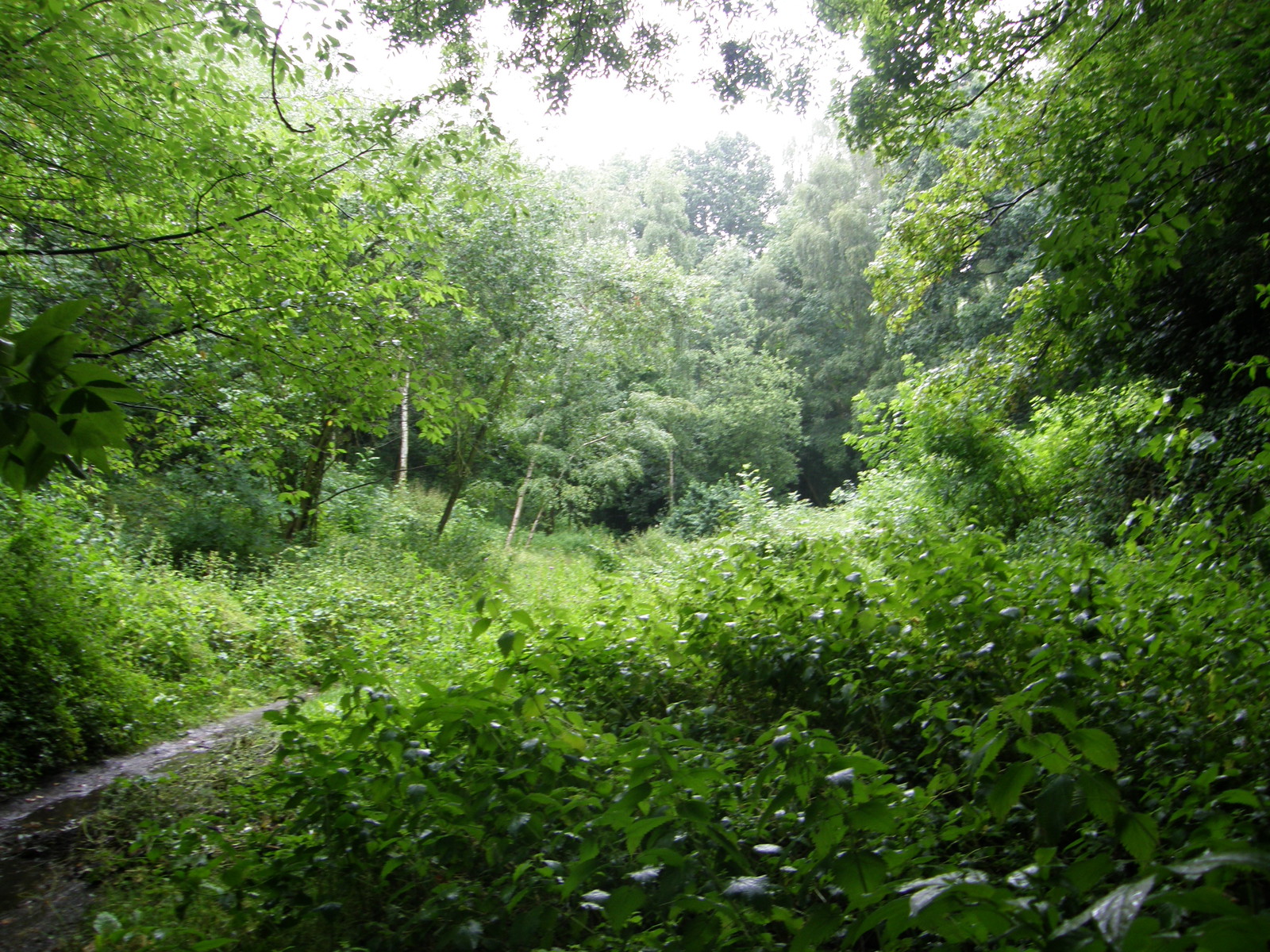 Image from Euston to East Finchley