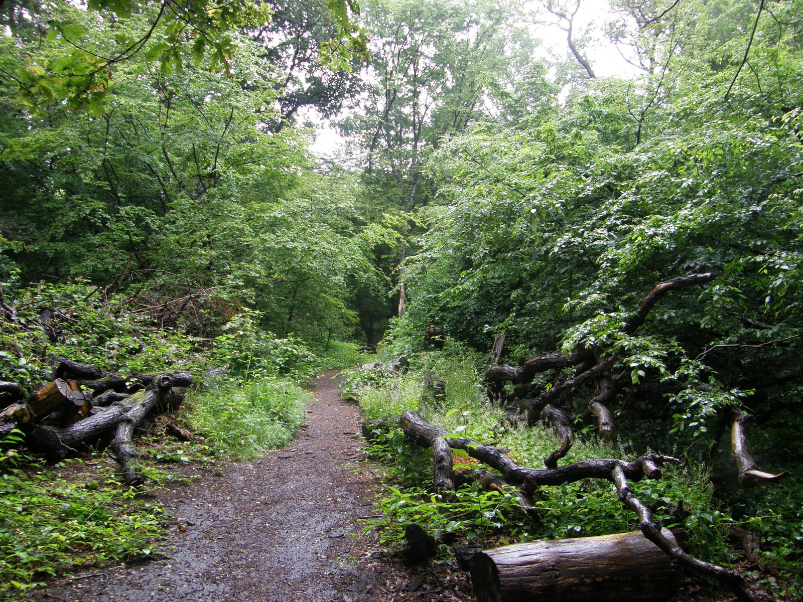 Image from Euston to East Finchley