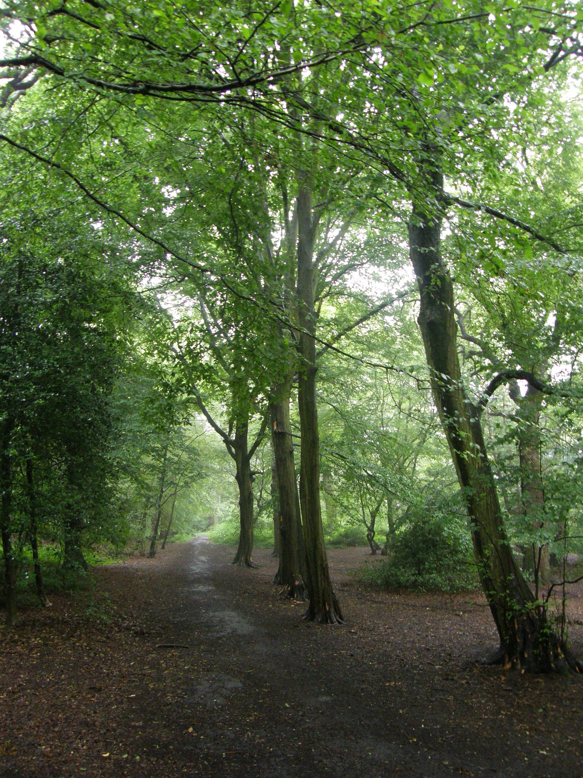 Image from Euston to East Finchley