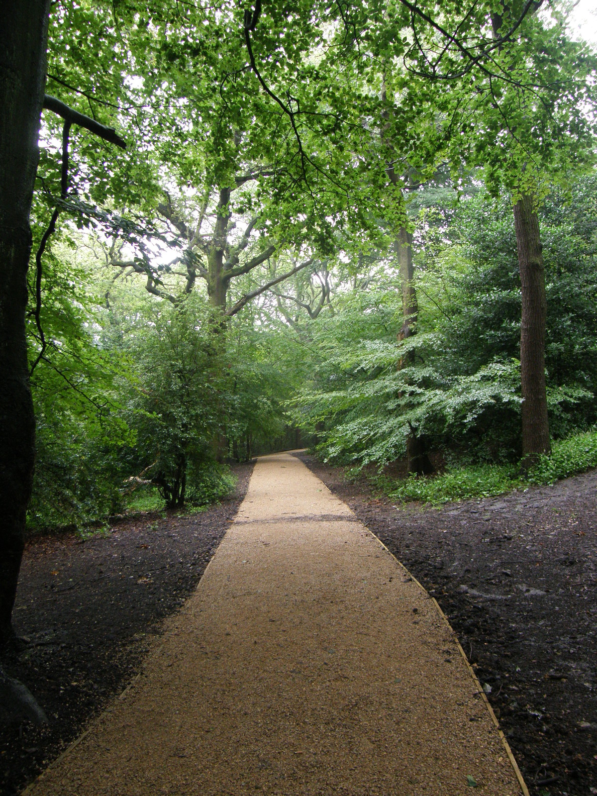 Image from Euston to East Finchley