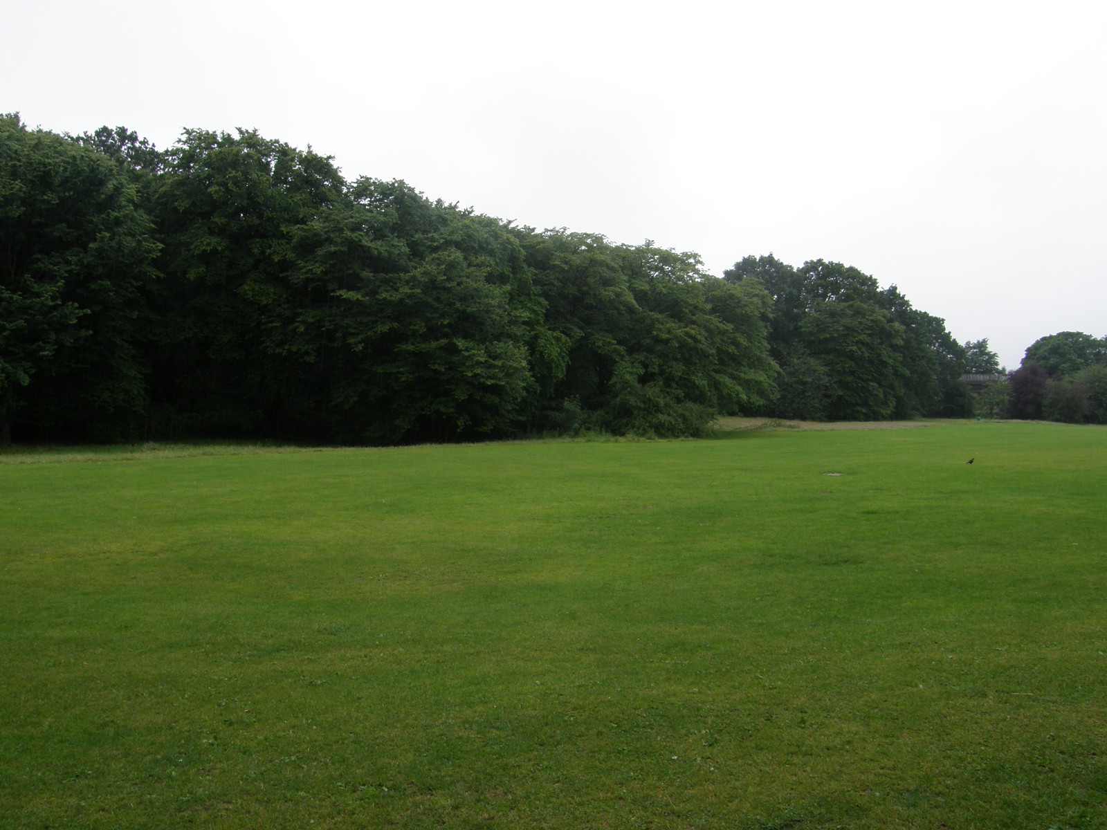 Image from Euston to East Finchley