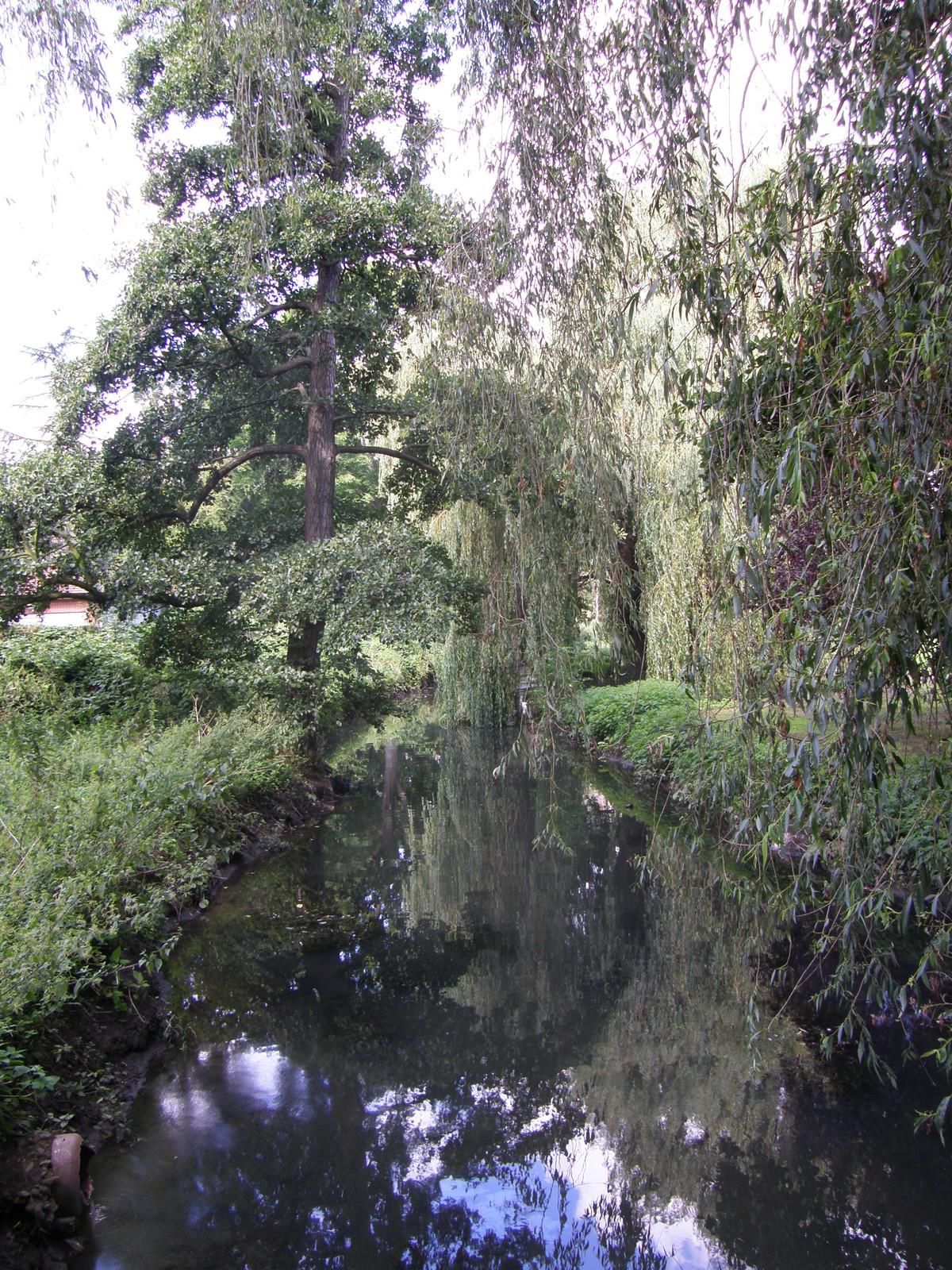 Image from Bounds Green to Cockfosters