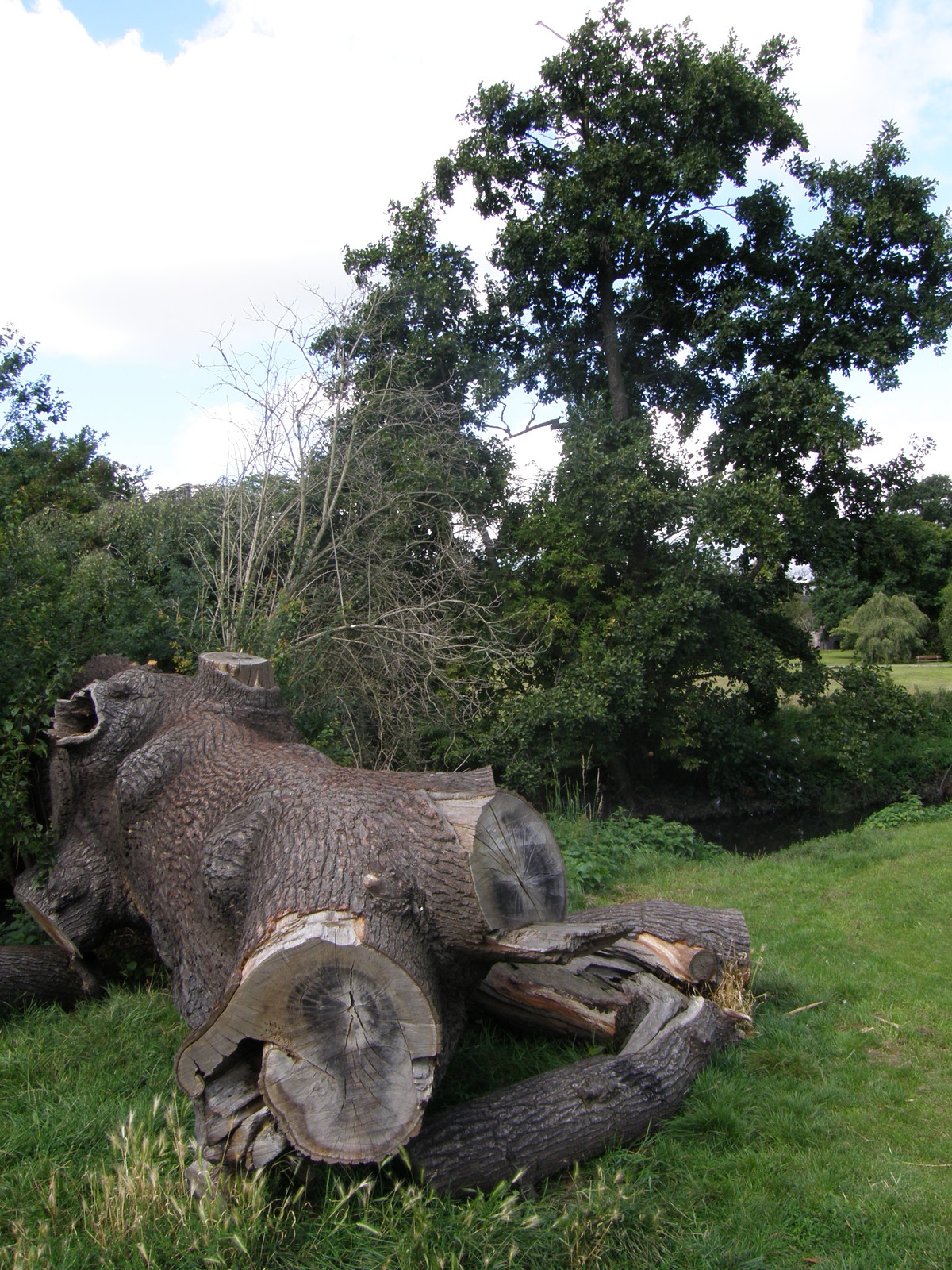 Image from Bounds Green to Cockfosters