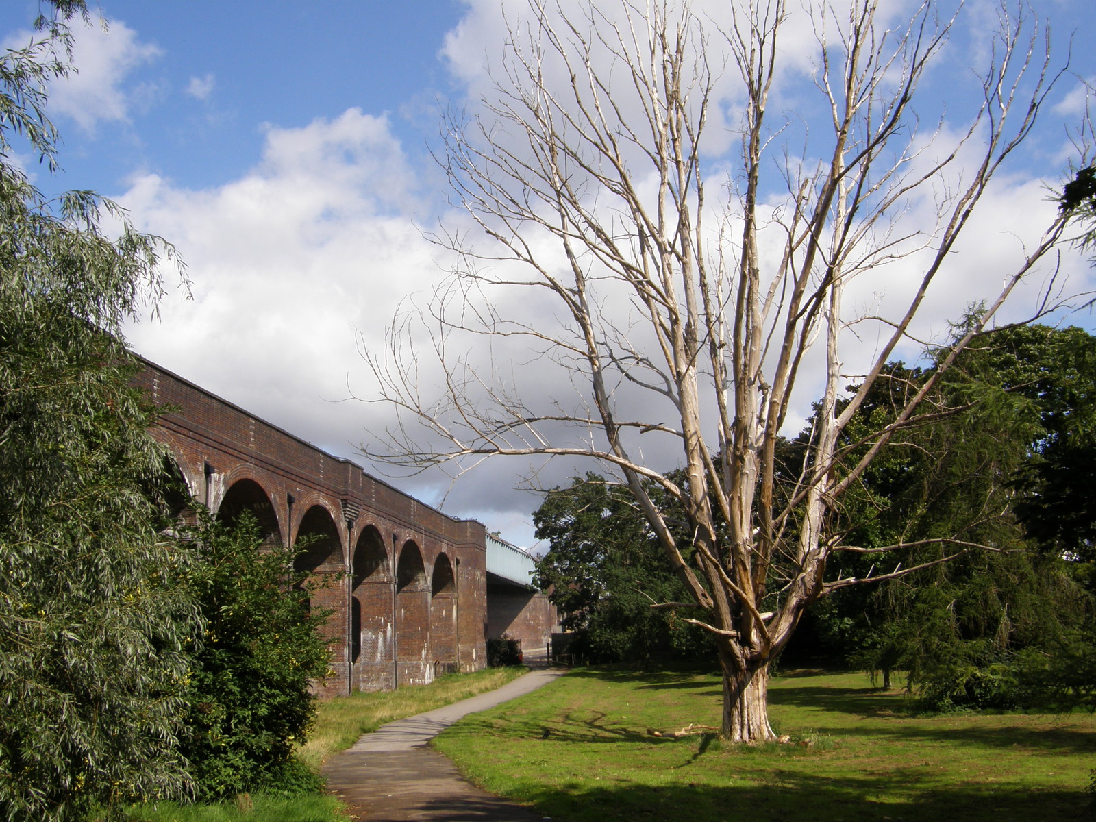 Image from Bounds Green to Cockfosters