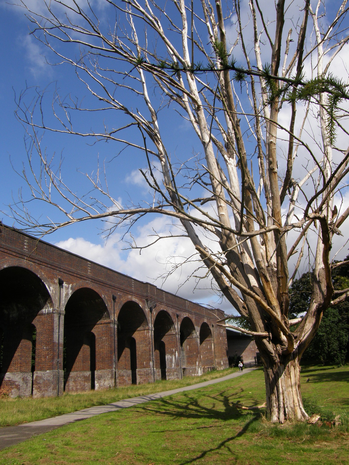 Image from Bounds Green to Cockfosters