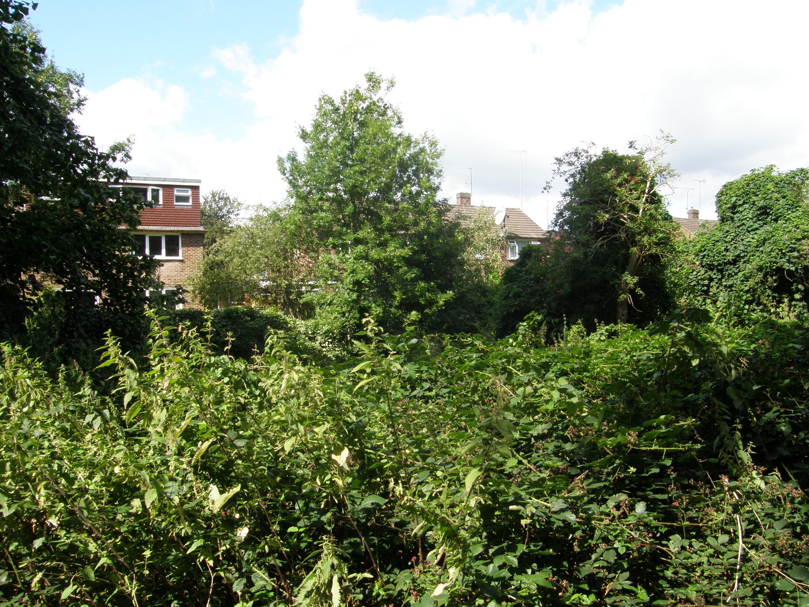 Image from Bounds Green to Cockfosters