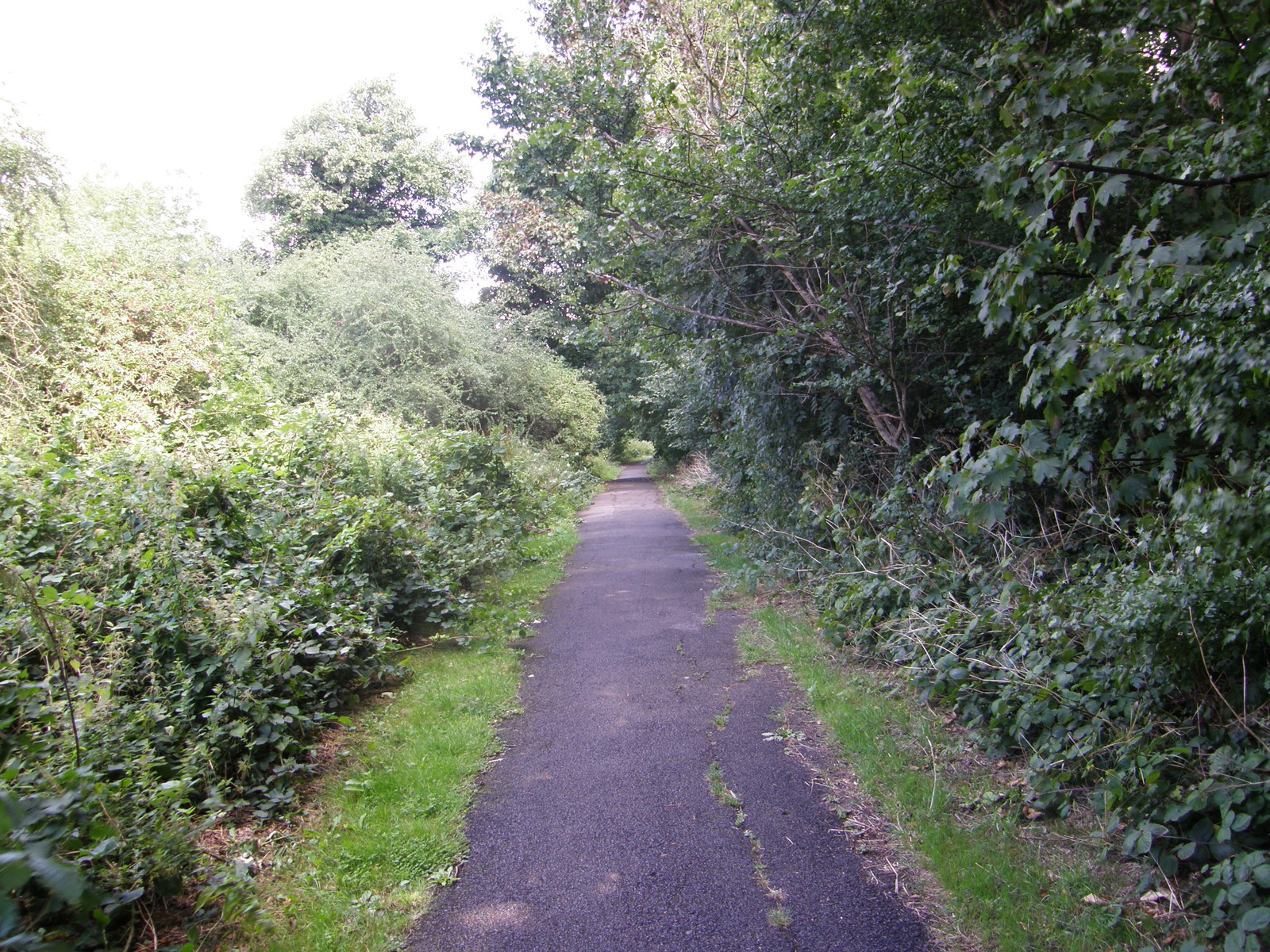 Image from Bounds Green to Cockfosters