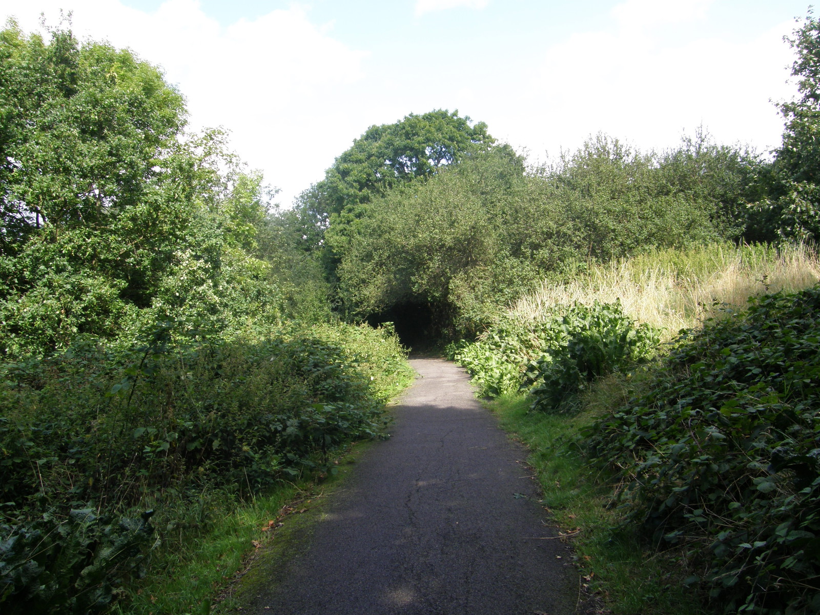 Image from Bounds Green to Cockfosters