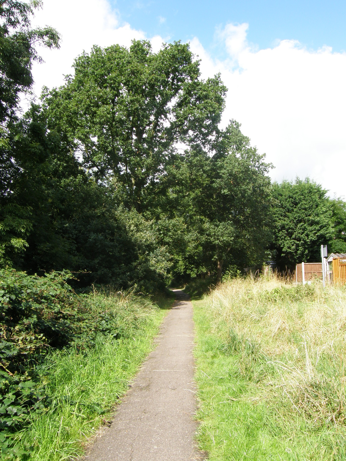 Image from Bounds Green to Cockfosters