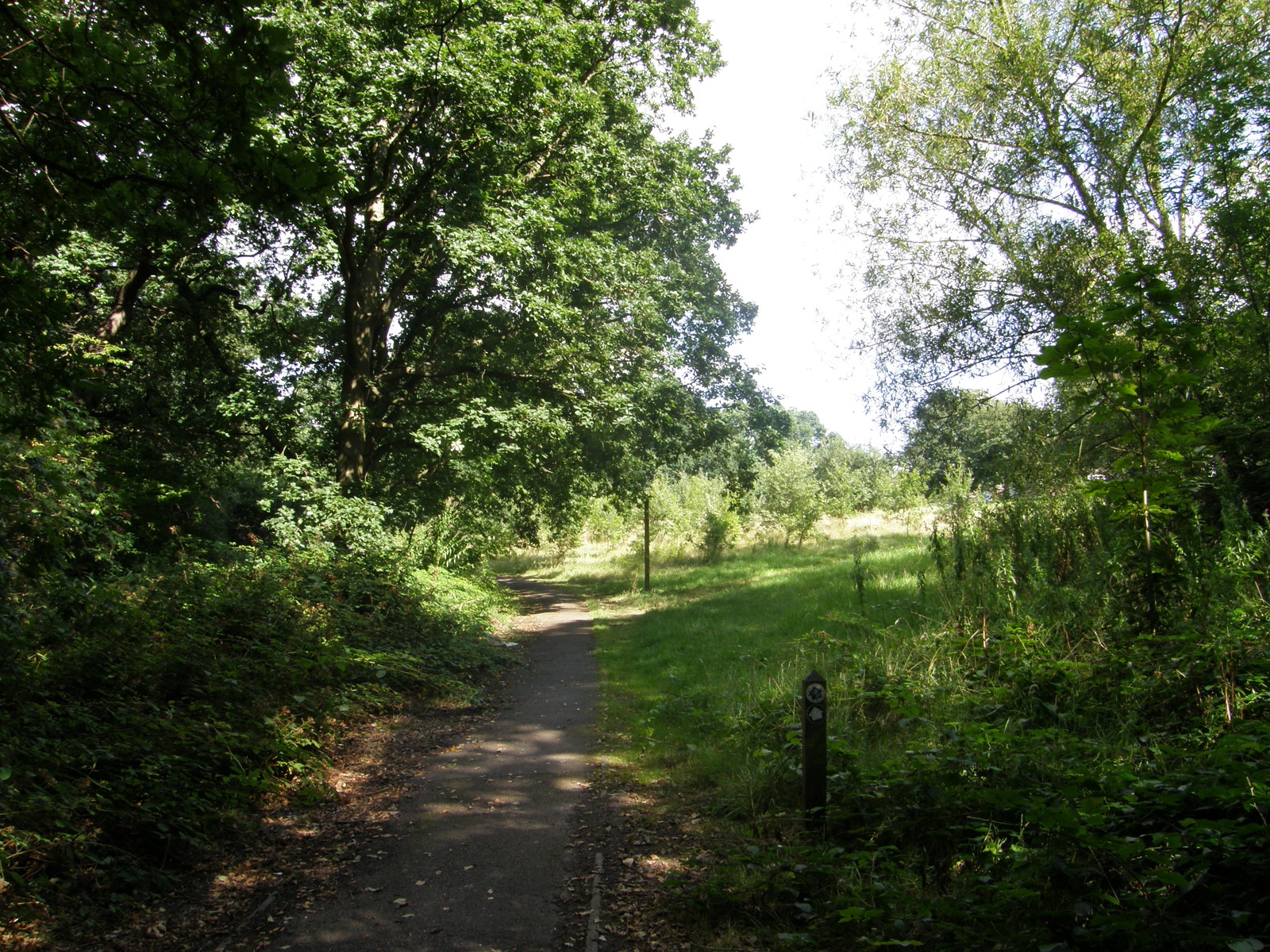 Image from Bounds Green to Cockfosters