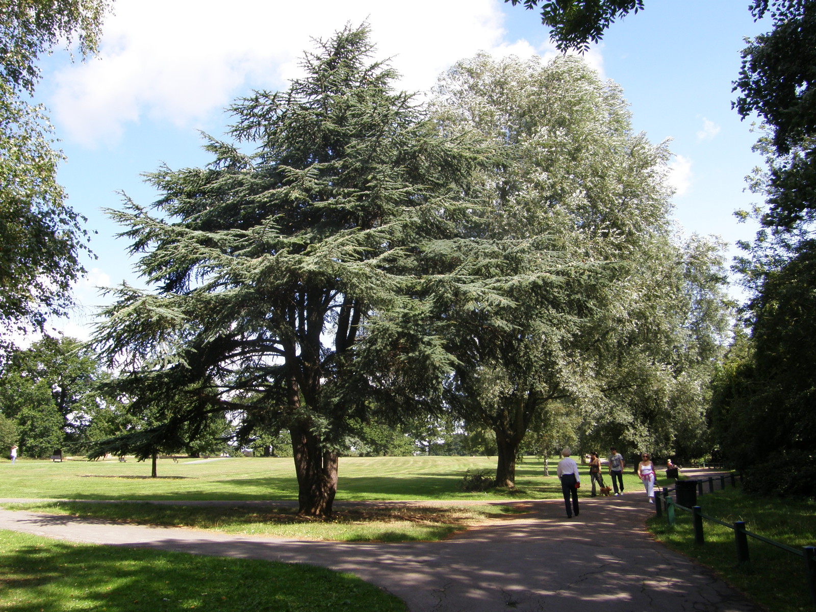 Image from Bounds Green to Cockfosters