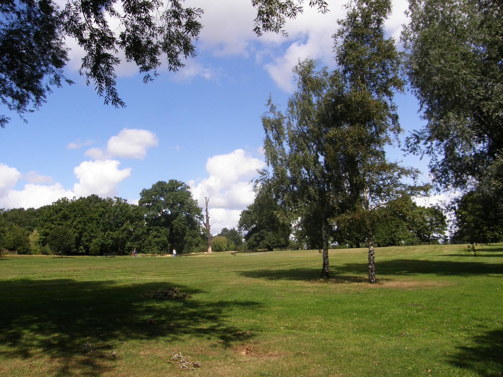 Image from Bounds Green to Cockfosters