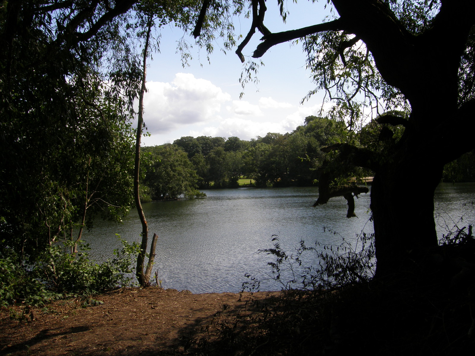 Image from Bounds Green to Cockfosters