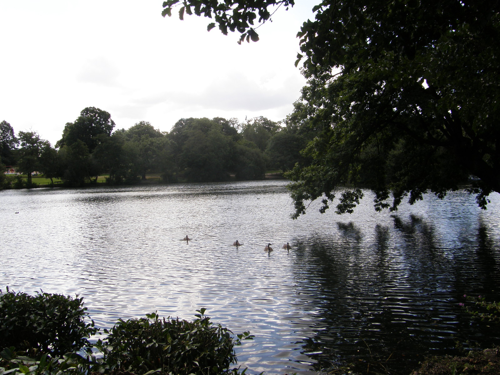 Image from Bounds Green to Cockfosters
