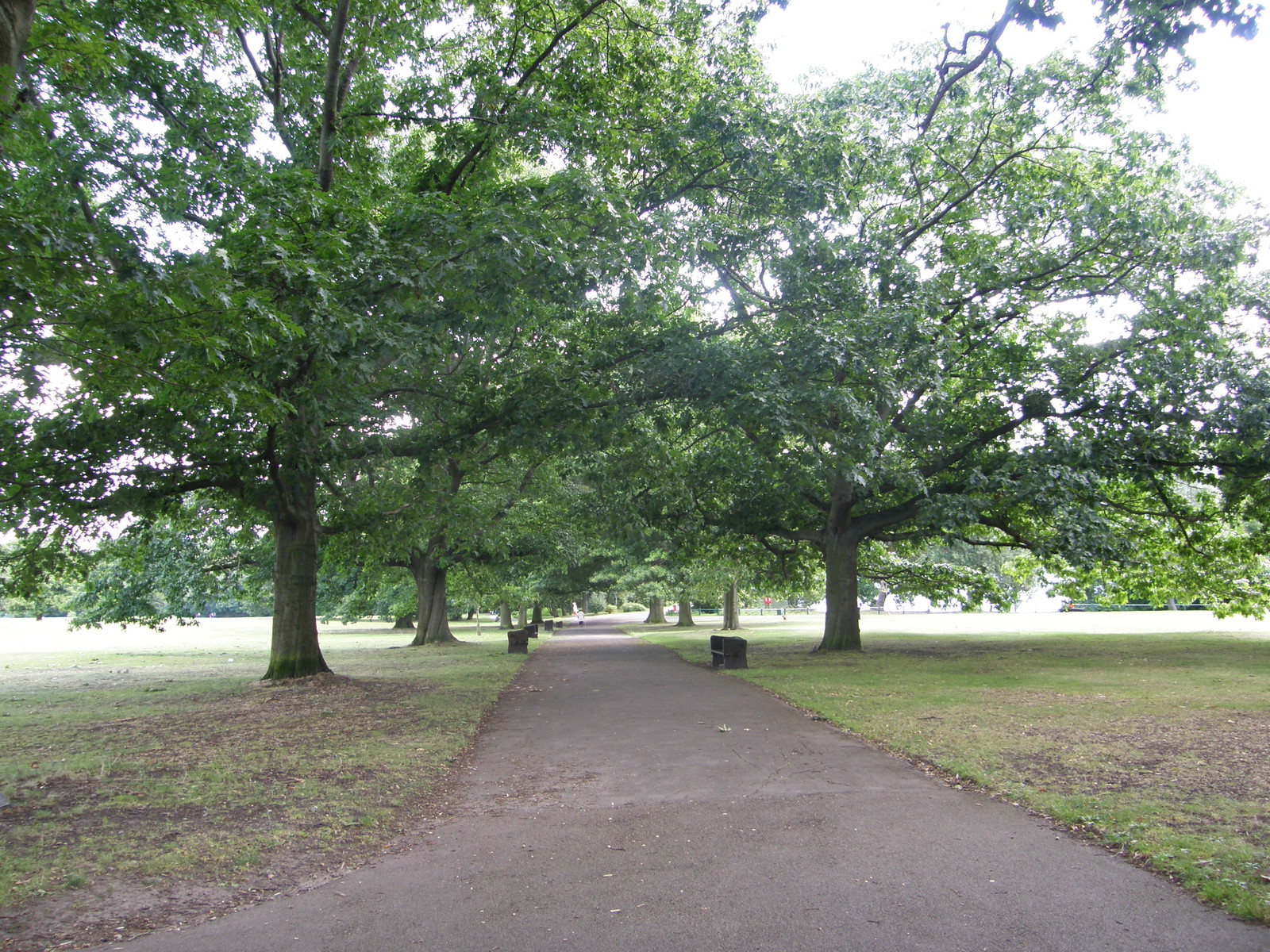 Image from Bounds Green to Cockfosters