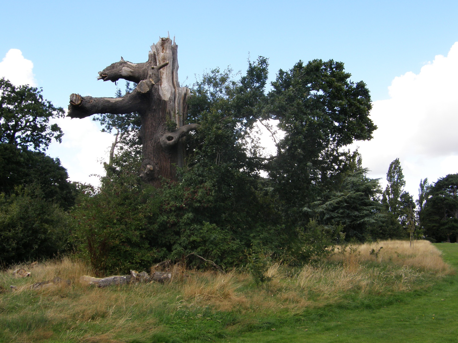 Image from Bounds Green to Cockfosters