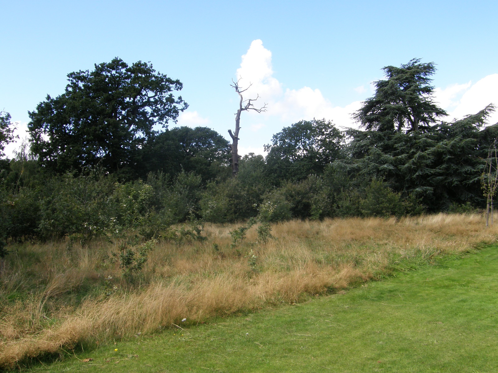 Image from Bounds Green to Cockfosters