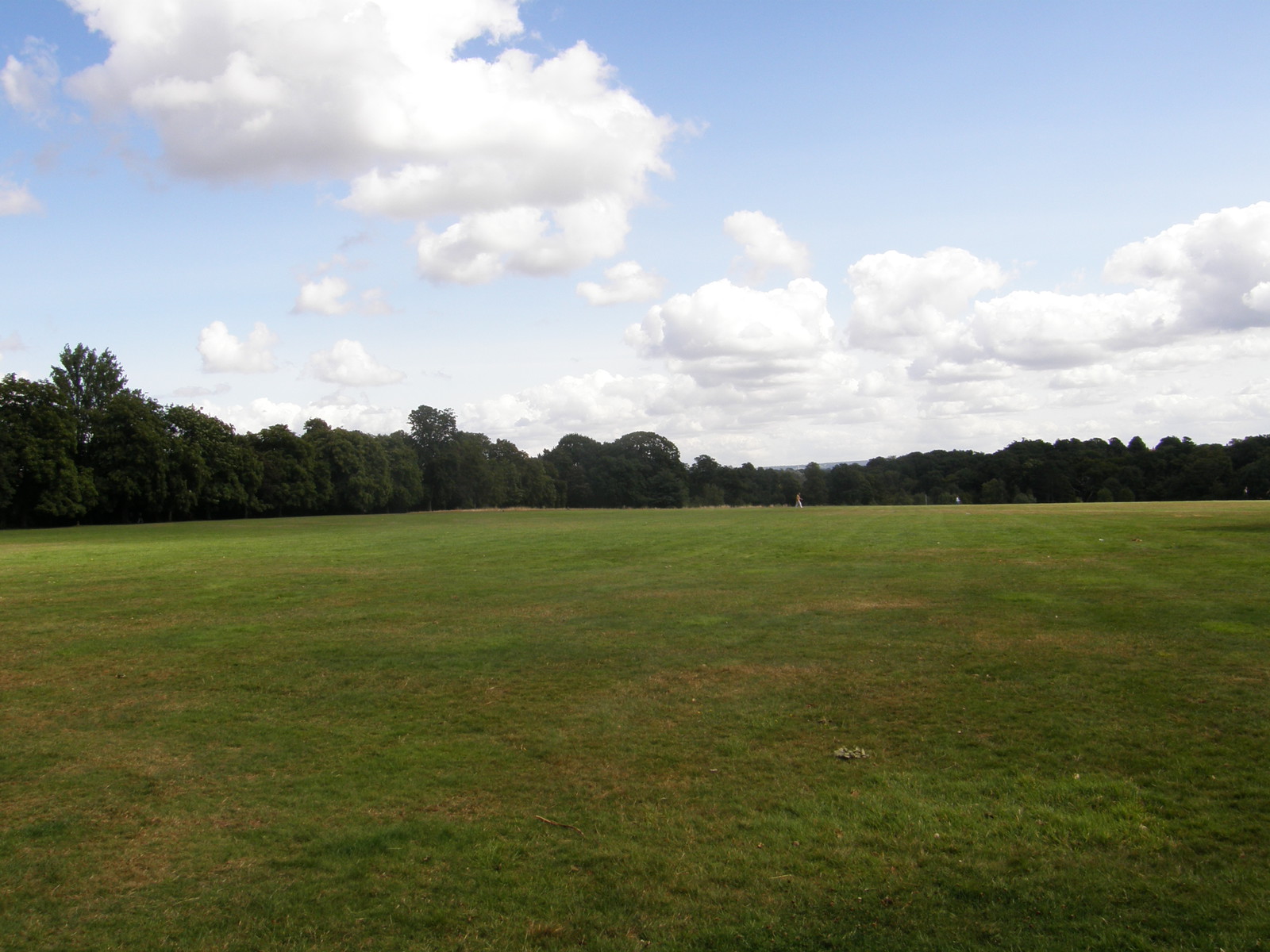 Image from Bounds Green to Cockfosters