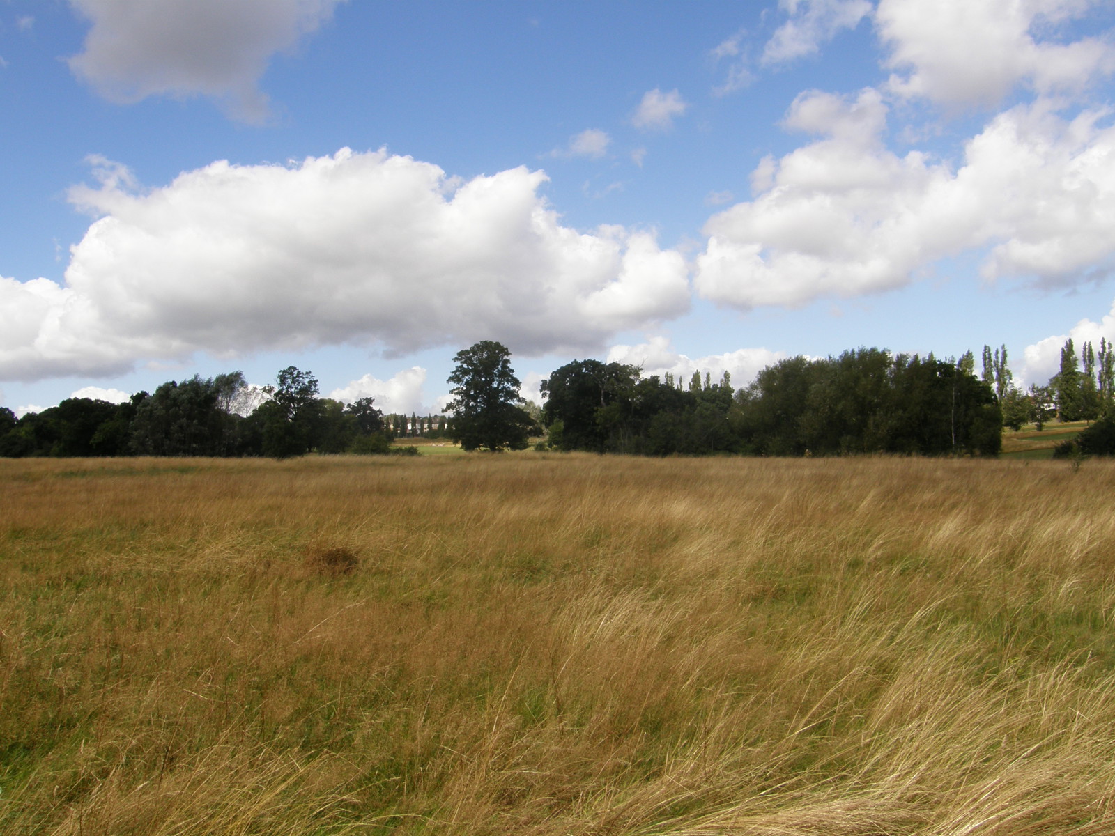Image from Bounds Green to Cockfosters