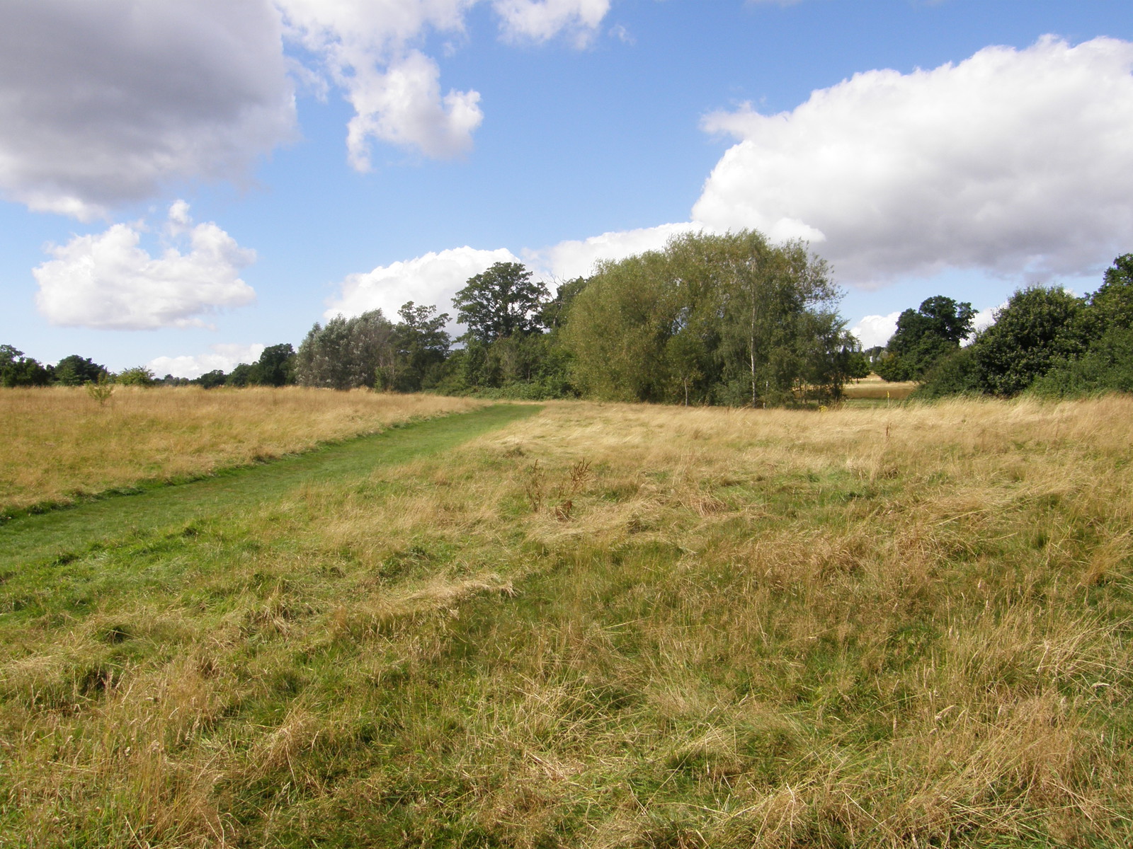 Image from Bounds Green to Cockfosters