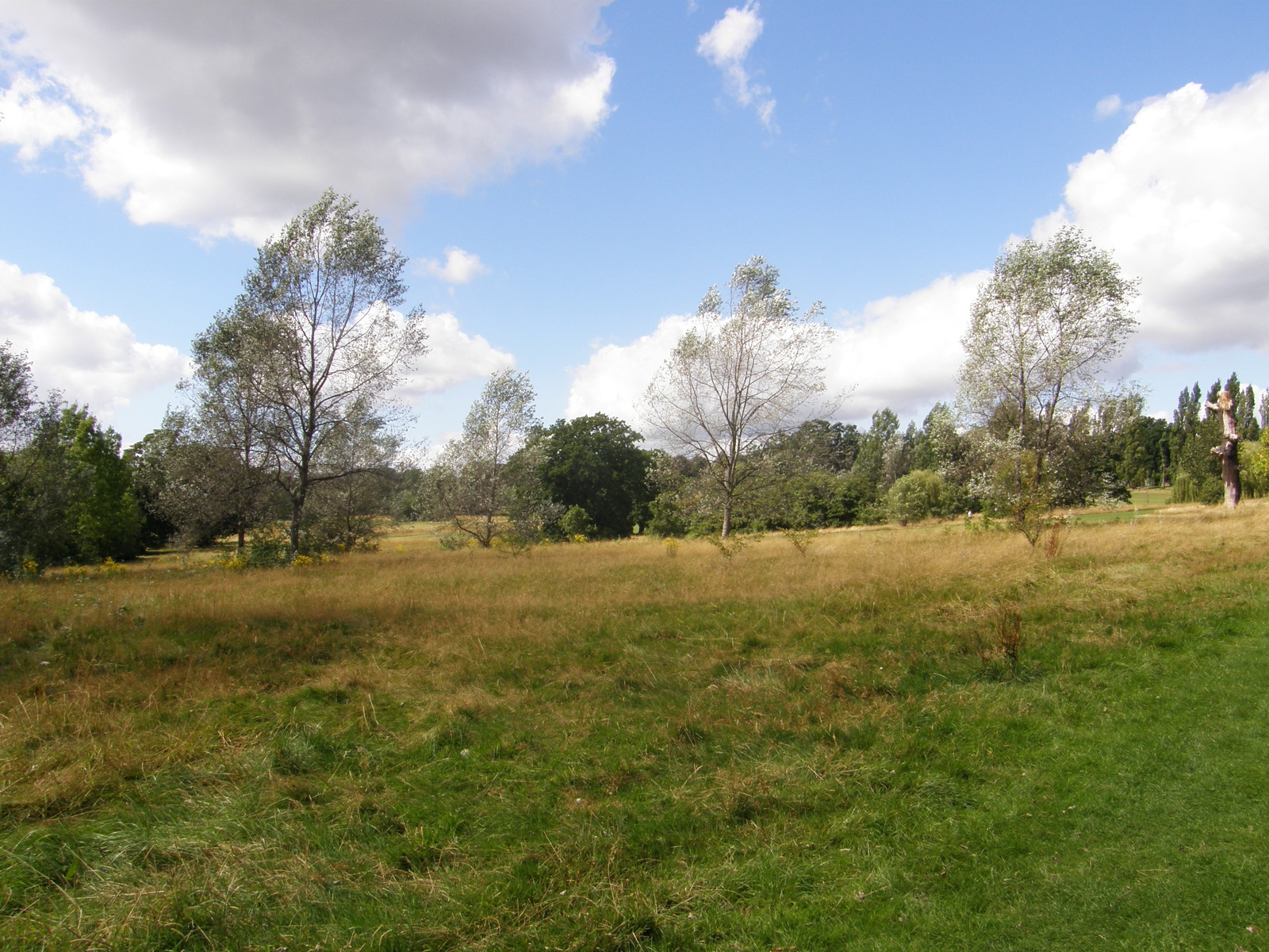 Image from Bounds Green to Cockfosters