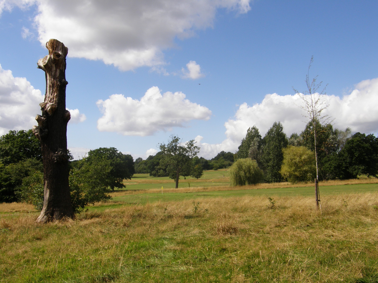 Image from Bounds Green to Cockfosters
