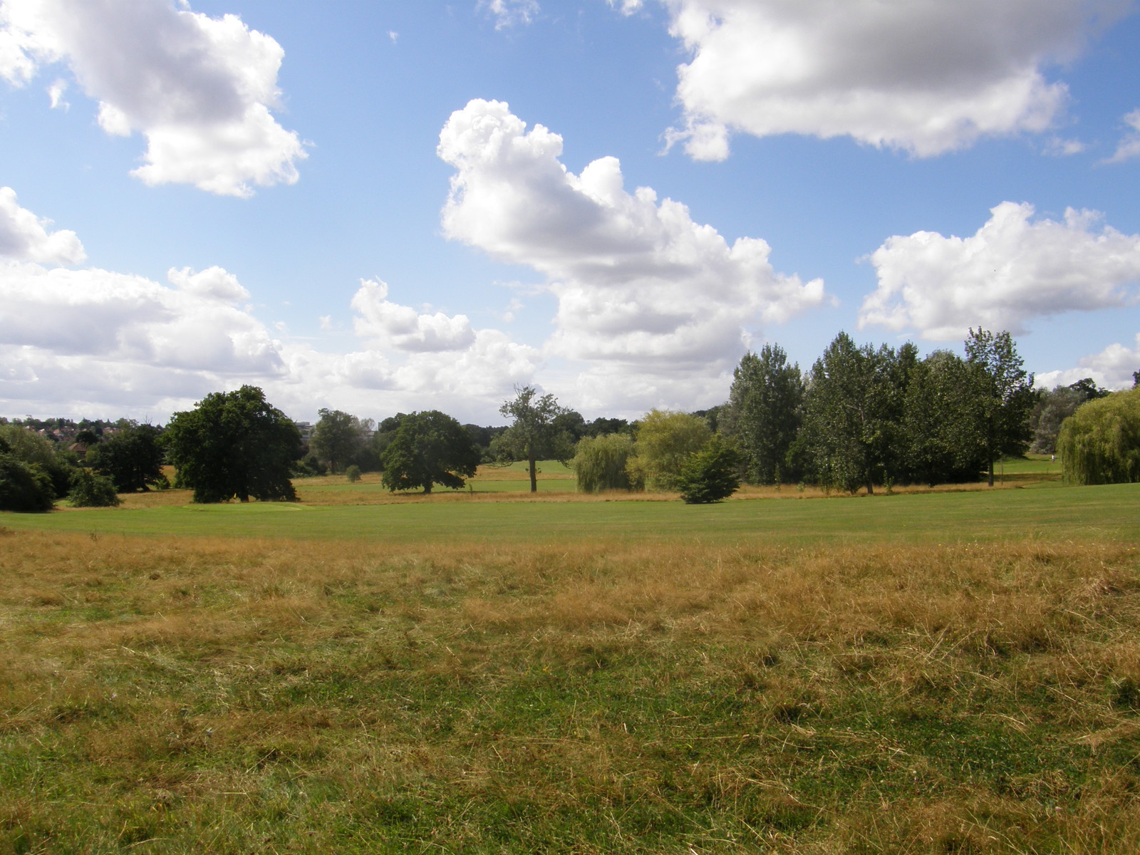 Image from Bounds Green to Cockfosters