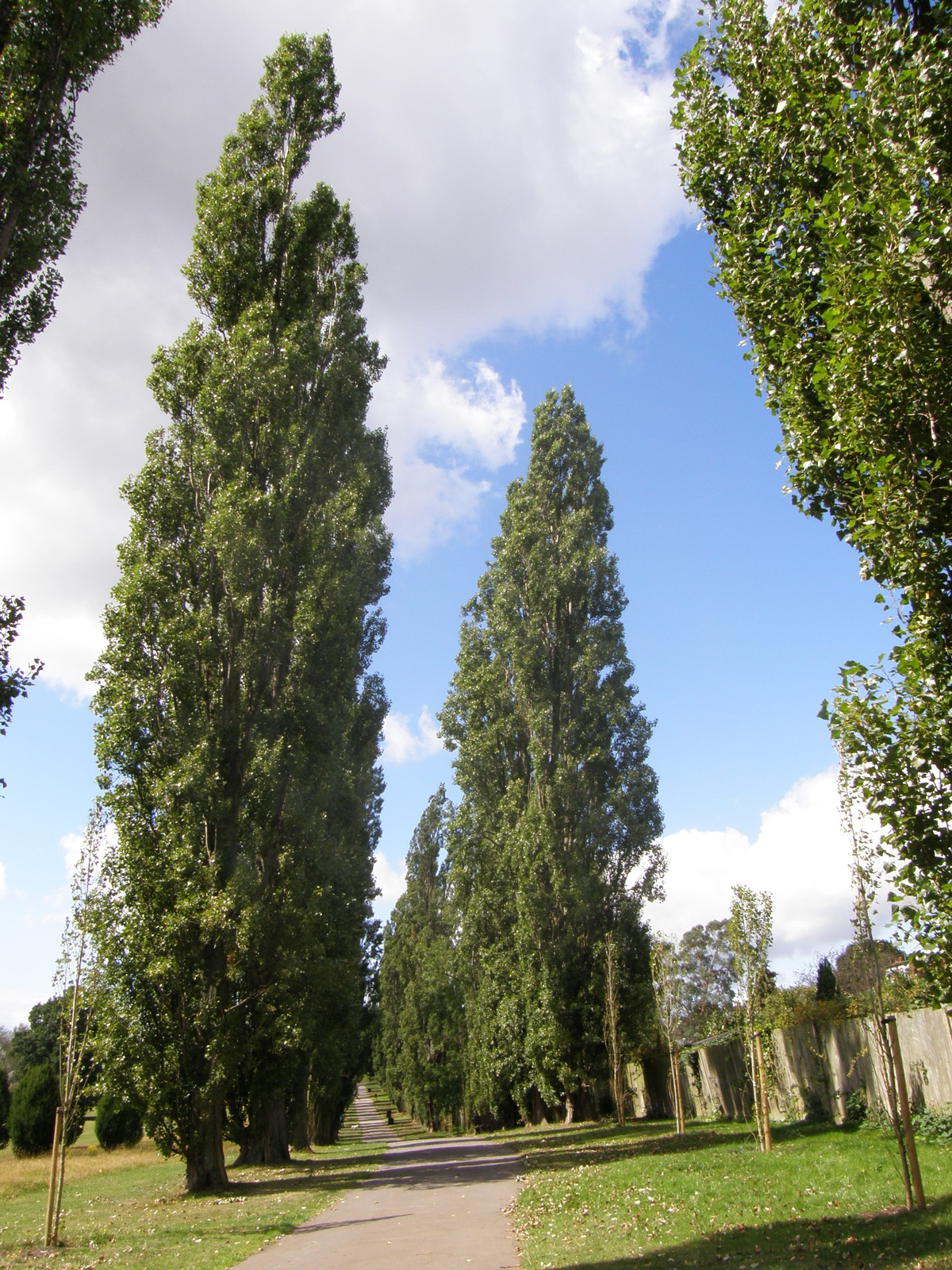 Image from Bounds Green to Cockfosters