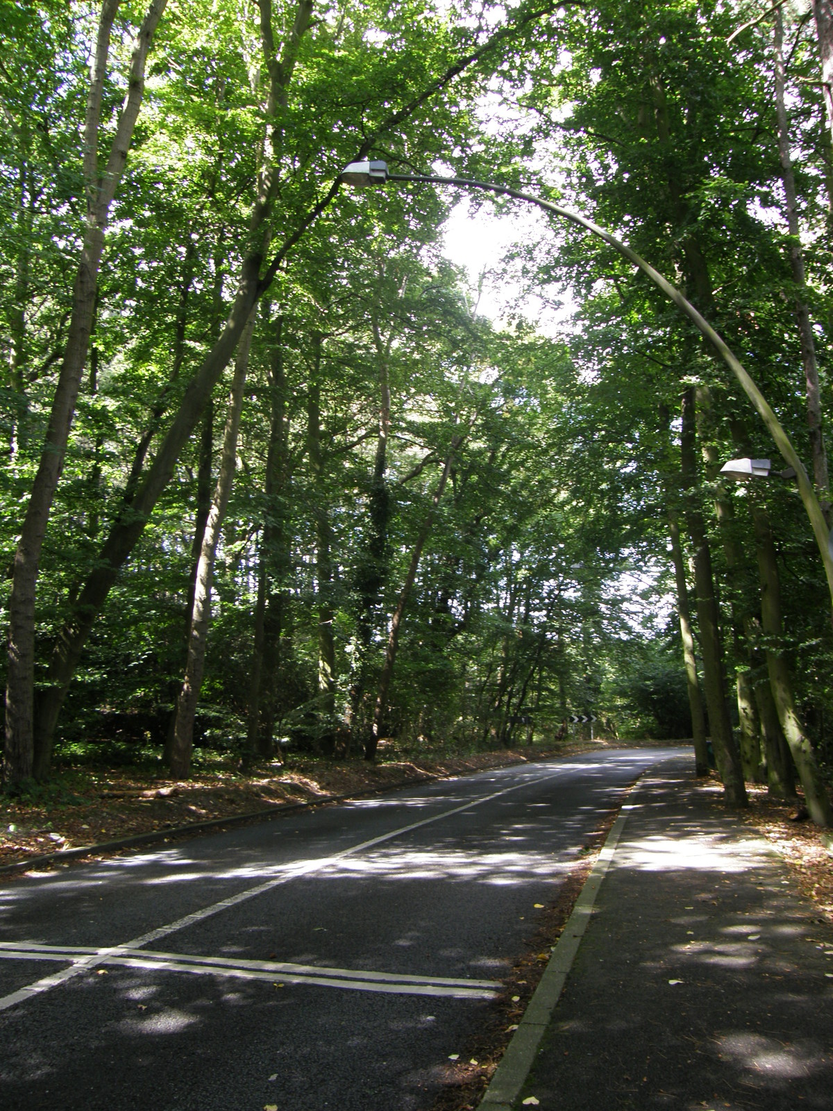 Image from Bounds Green to Cockfosters