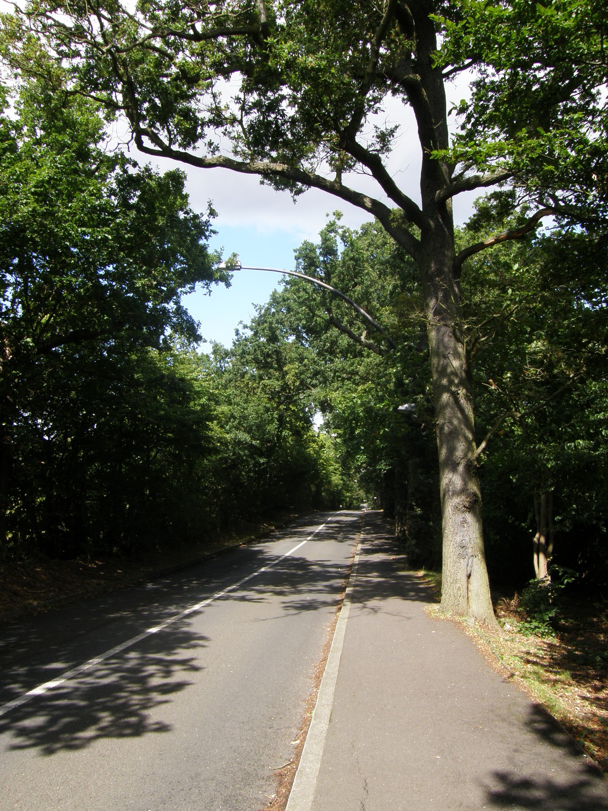 Image from Bounds Green to Cockfosters