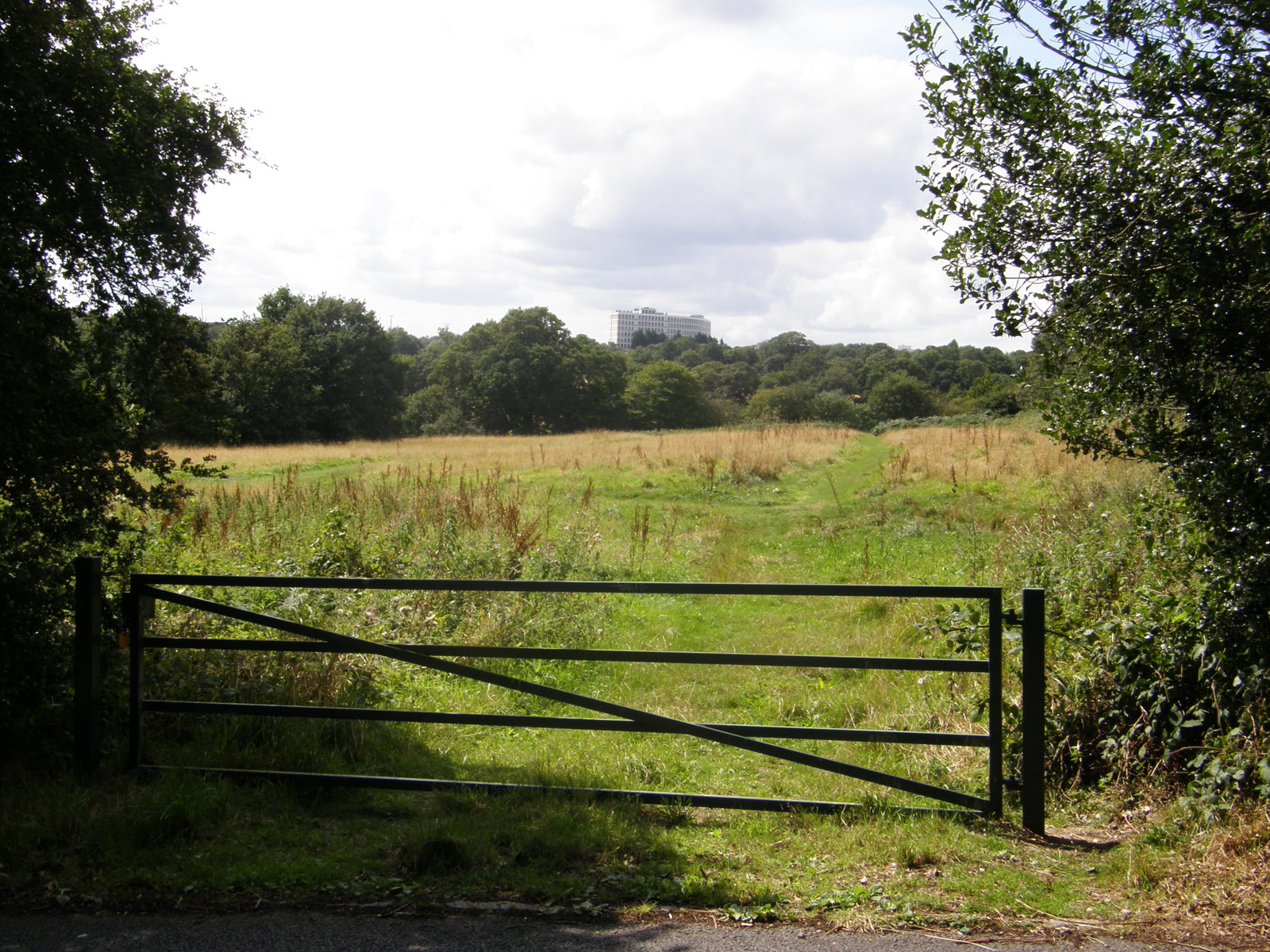 Image from Bounds Green to Cockfosters