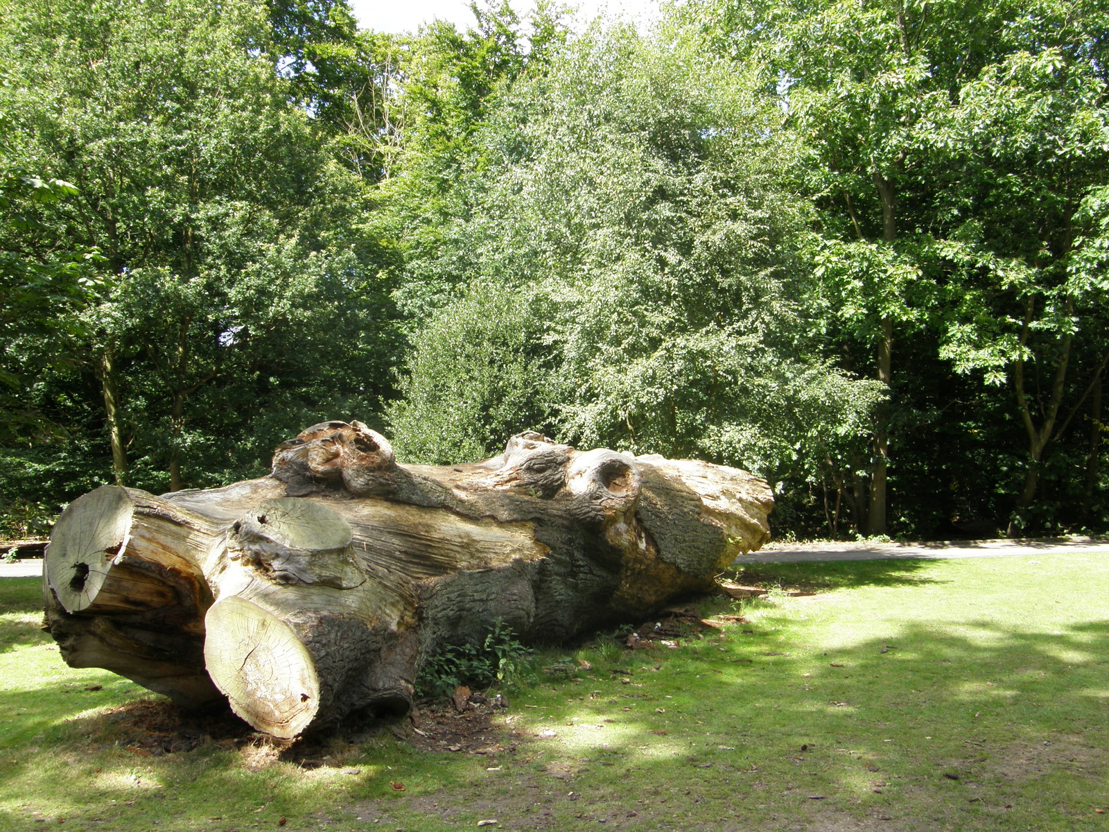 Image from Bounds Green to Cockfosters