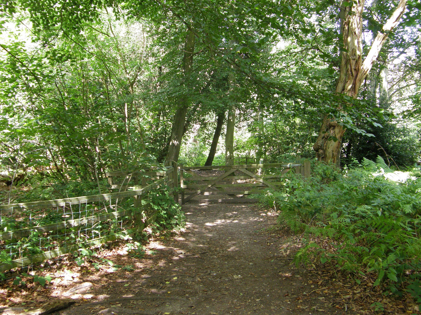 Image from Bounds Green to Cockfosters