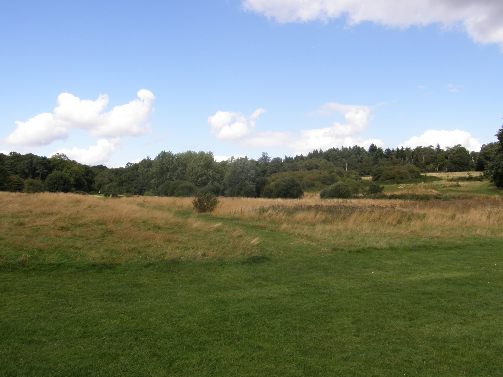 Image from Bounds Green to Cockfosters