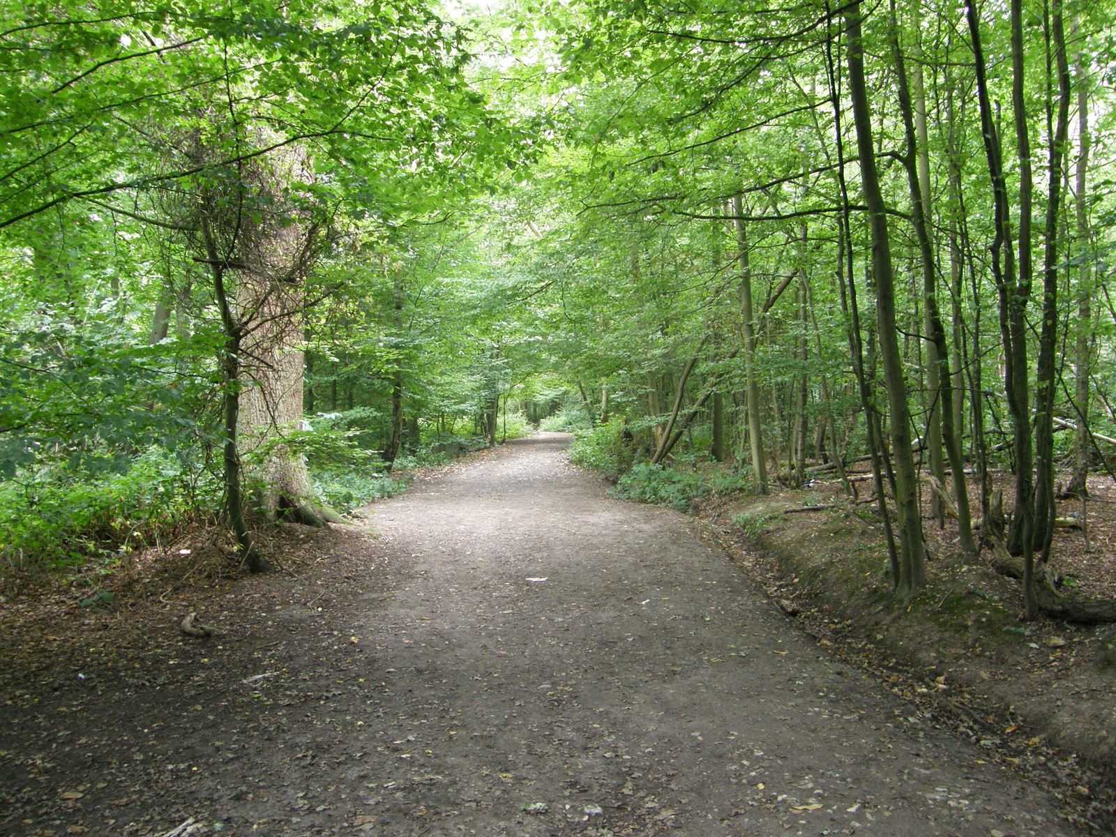 Image from Bounds Green to Cockfosters