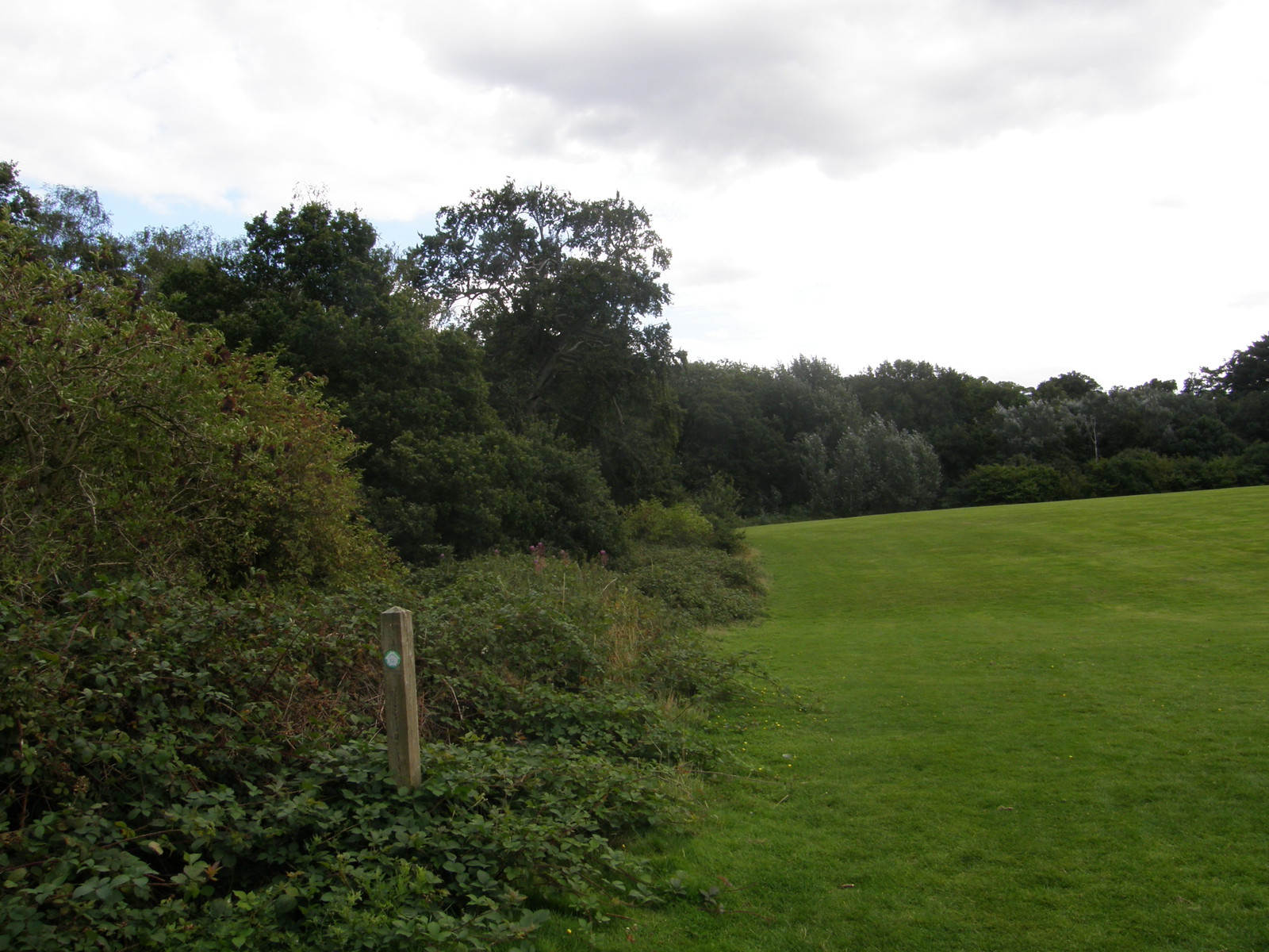 Image from Bounds Green to Cockfosters