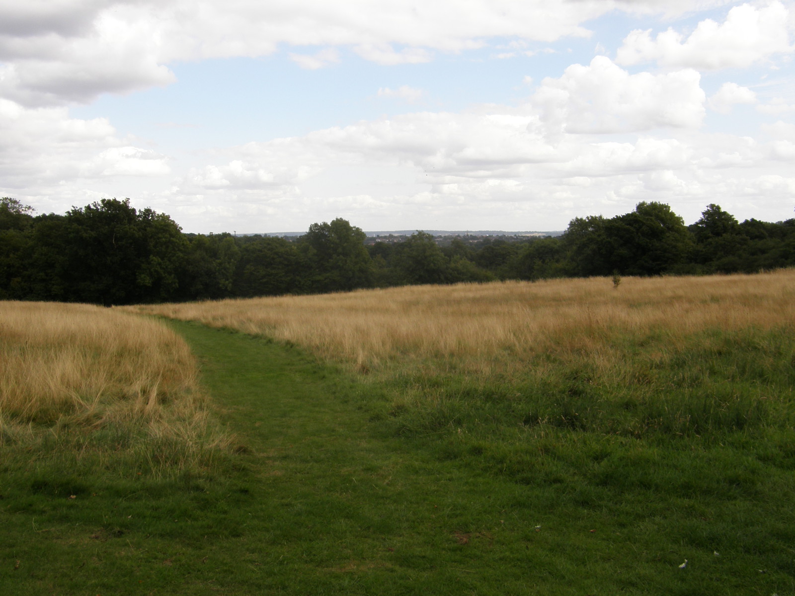 Image from Bounds Green to Cockfosters