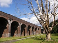 The viaduct in Arnos Park