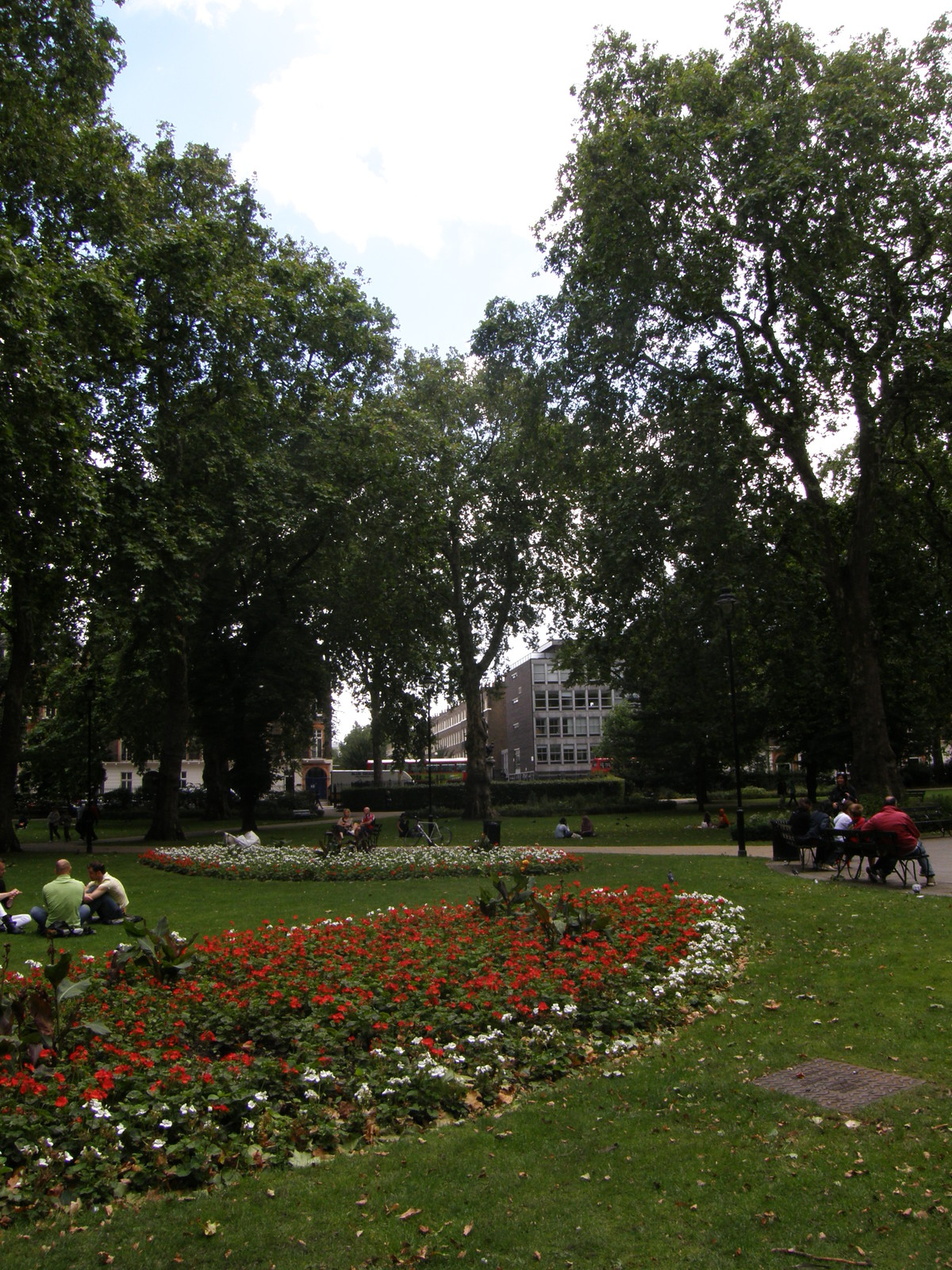 A Picture from Hammersmith to King's Cross St Pancras, Piccadilly
