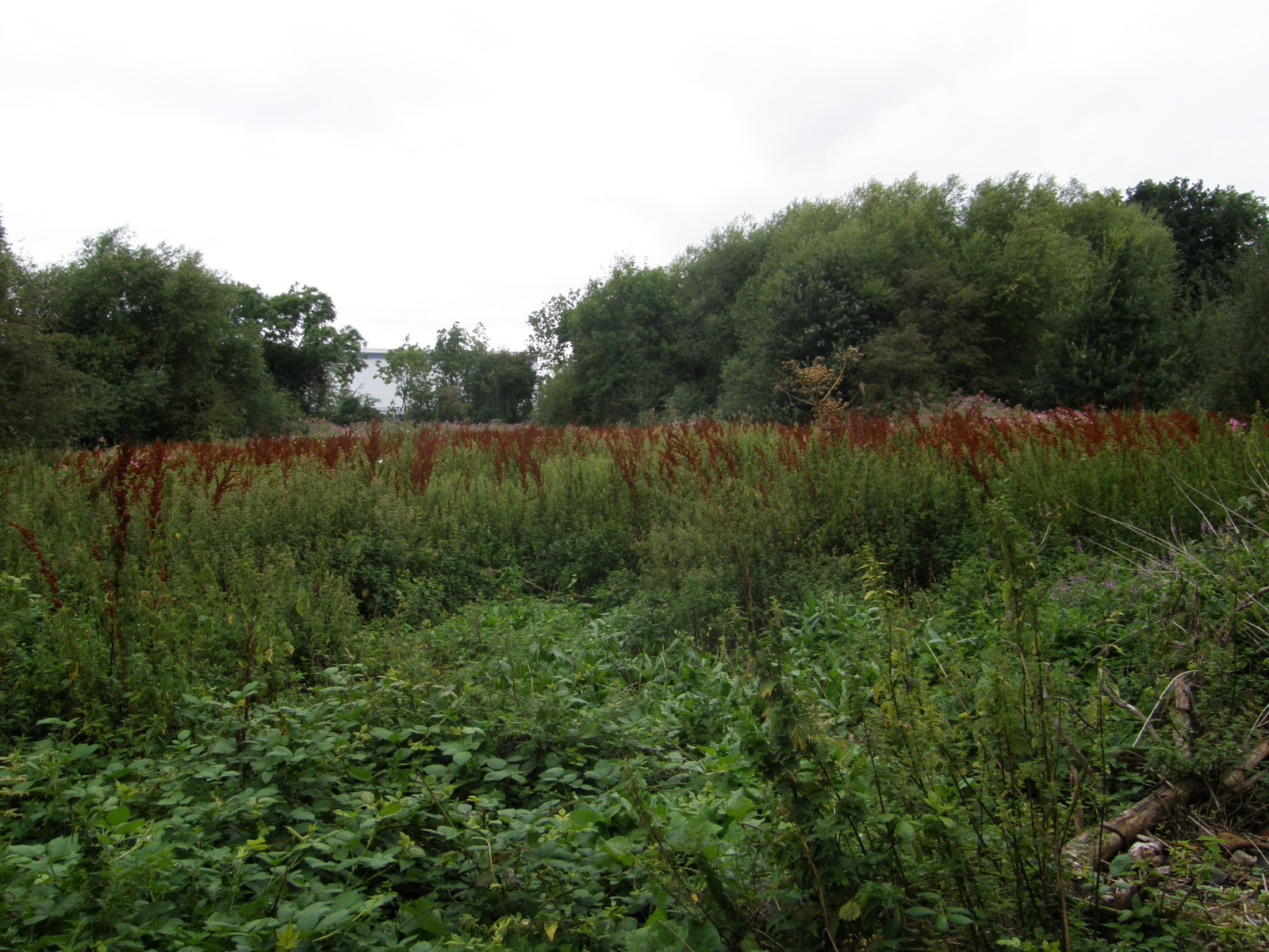 Image from Hatton Cross to Boston Manor