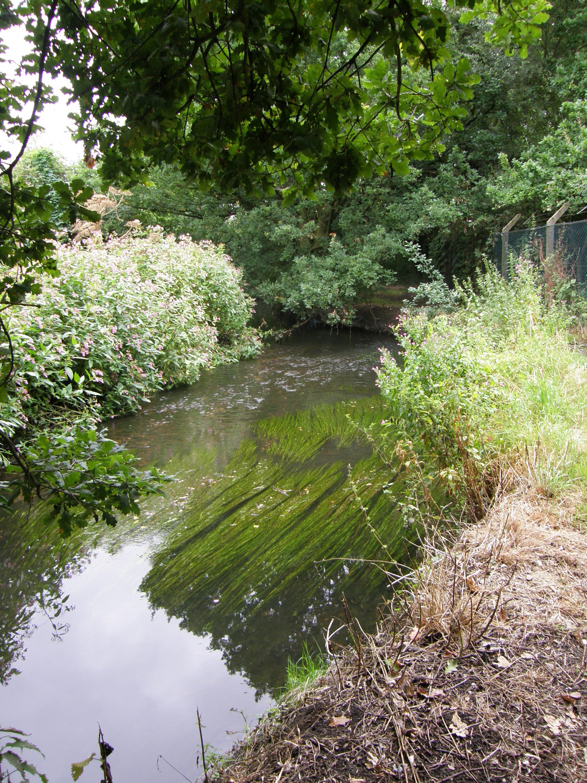 Image from Hatton Cross to Boston Manor