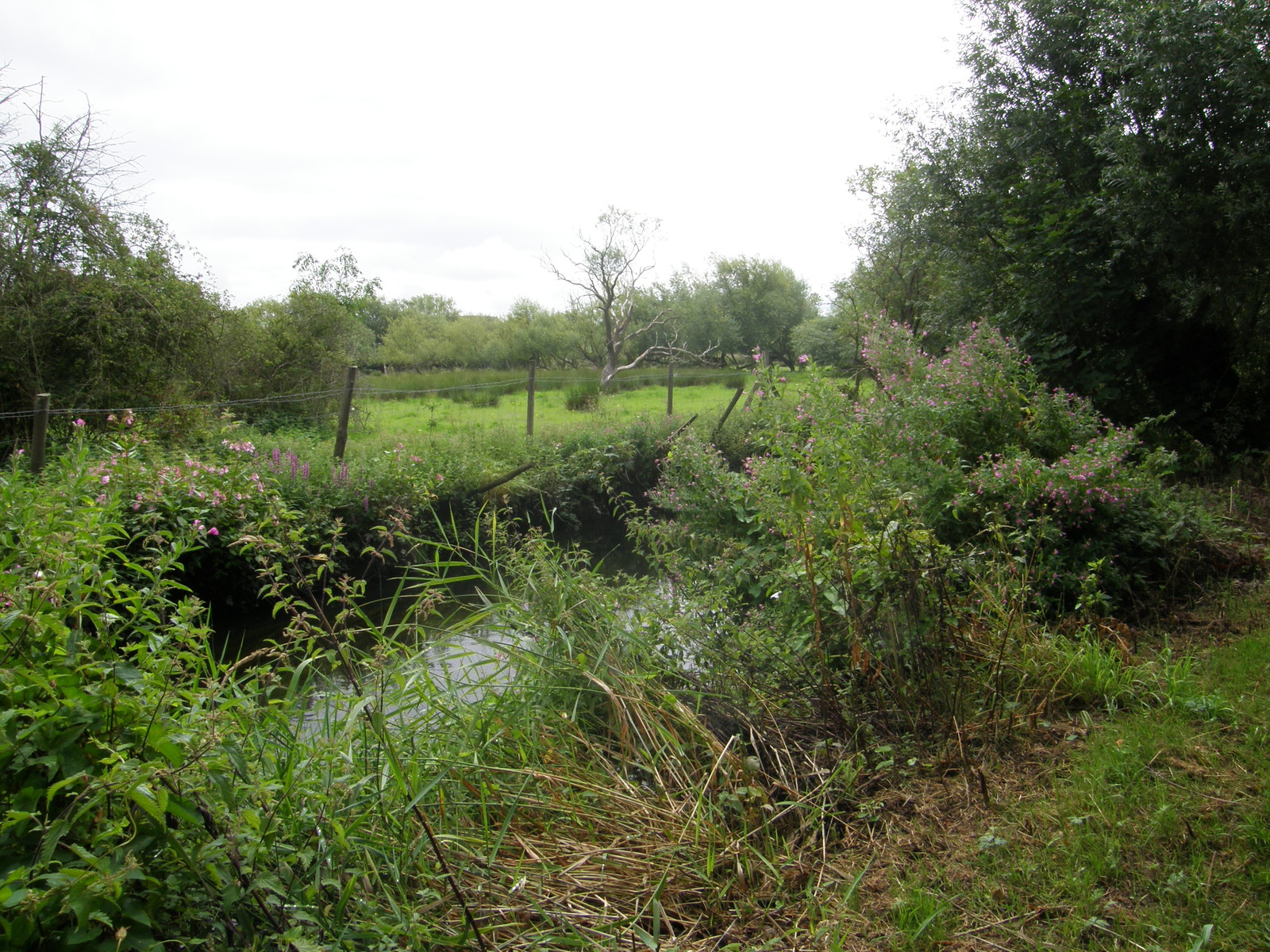Image from Hatton Cross to Boston Manor