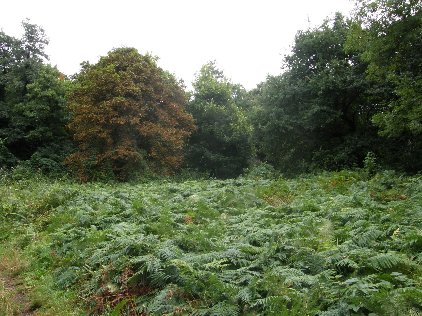Image from Hatton Cross to Boston Manor