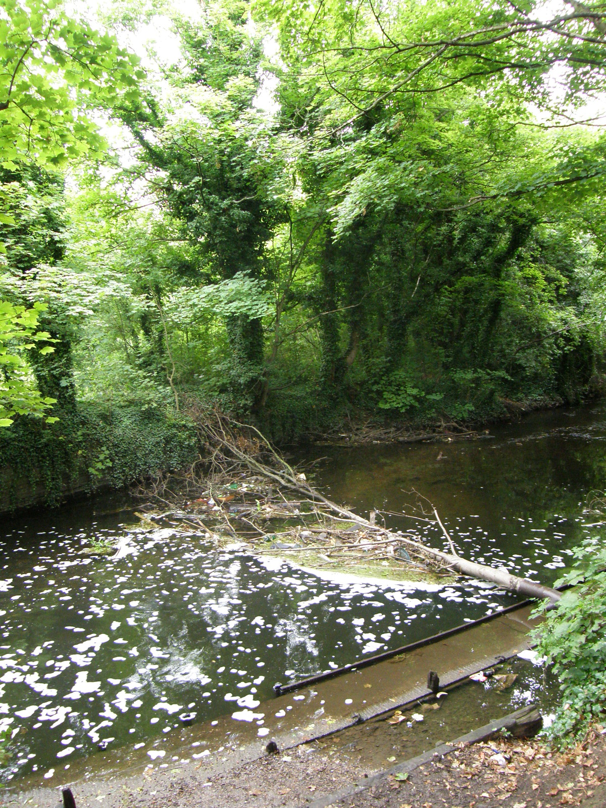 Rubbish along the River Crane