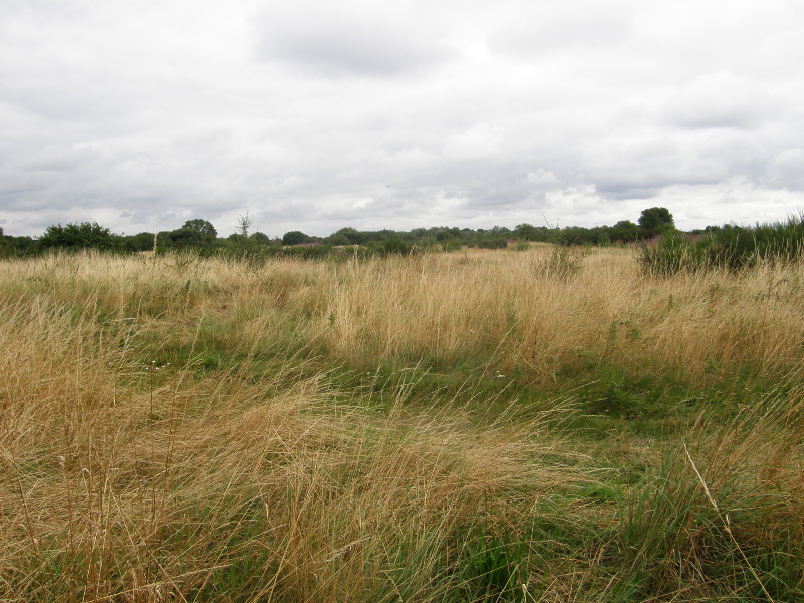 Image from Hatton Cross to Boston Manor