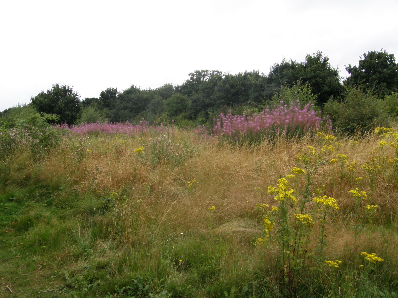 Hounslow Heath