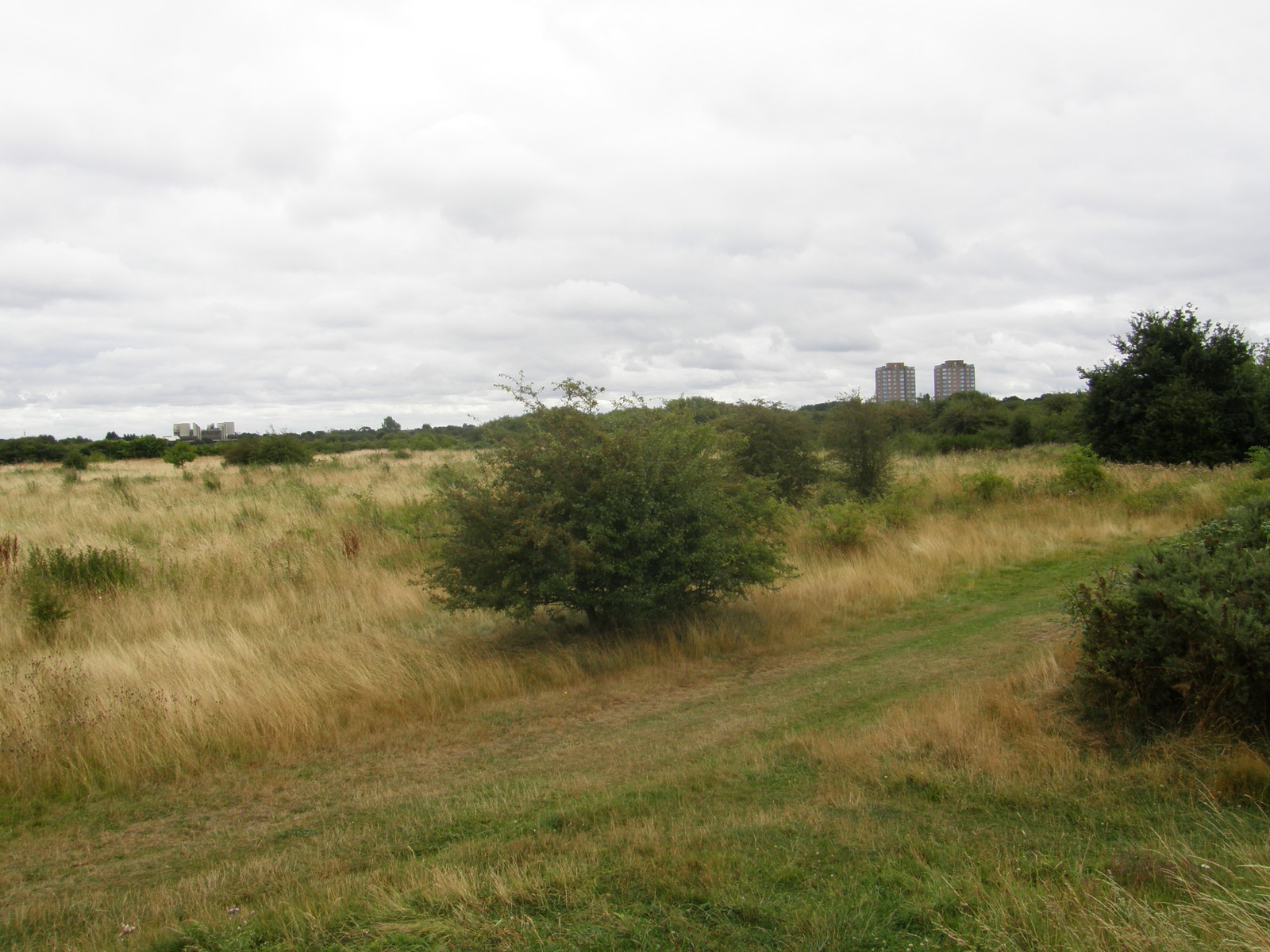 Image from Hatton Cross to Boston Manor