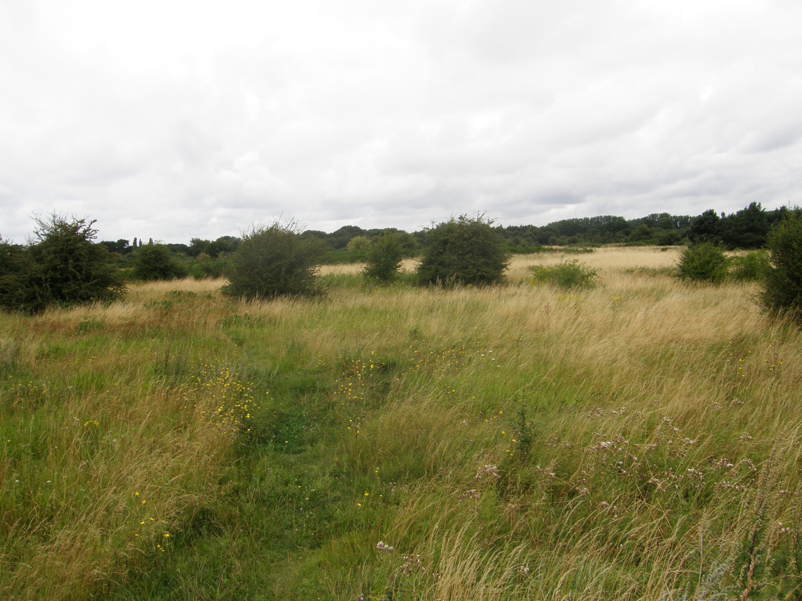 Image from Hatton Cross to Boston Manor