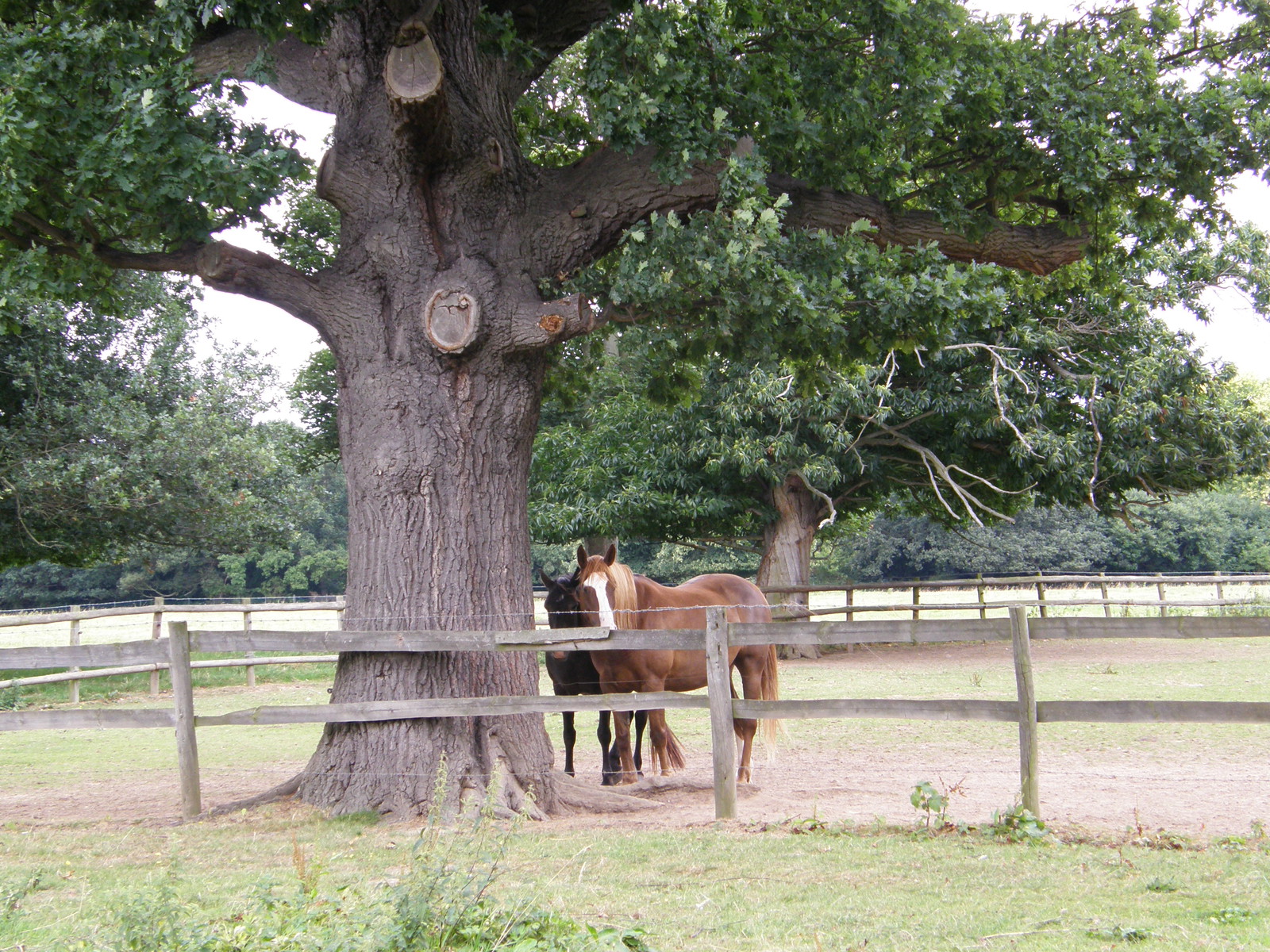 Image from Hatton Cross to Boston Manor